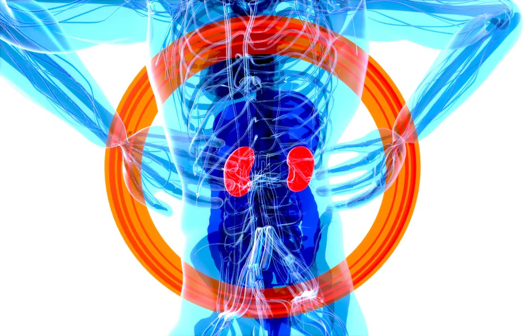 Nephrologist Reveals The 5 Blood Tests You Should Do Every 6 Months If You Are Considering Gym Supplements
